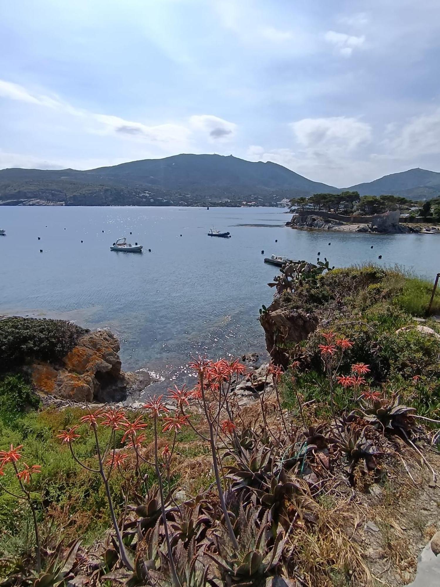 Isla Privada En Cadaques De Ensueno Con 11 Habitaciones Dobles Con Bano Privado Y Piscina Exterior photo