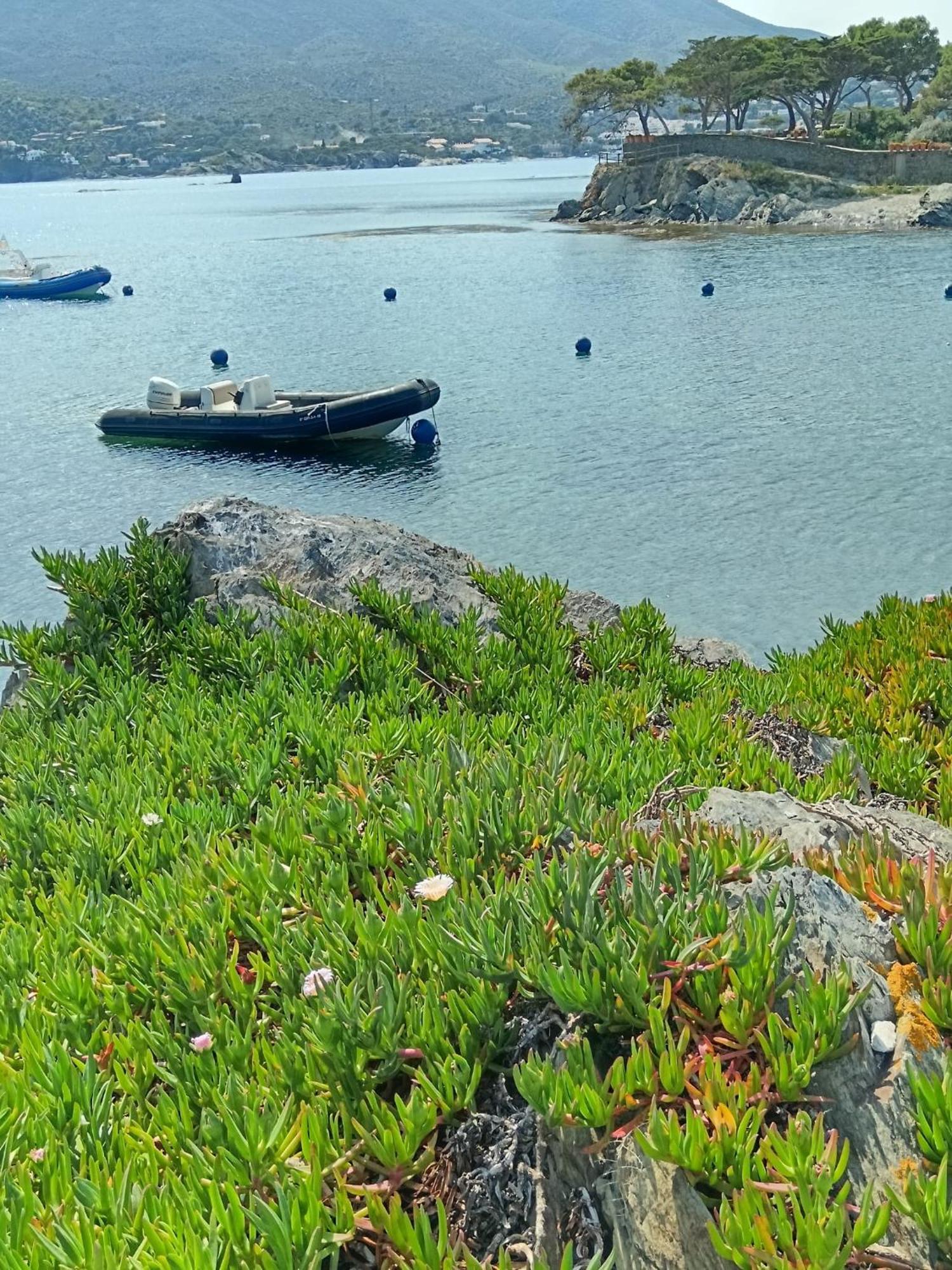 Isla Privada En Cadaques De Ensueno Con 11 Habitaciones Dobles Con Bano Privado Y Piscina Exterior photo
