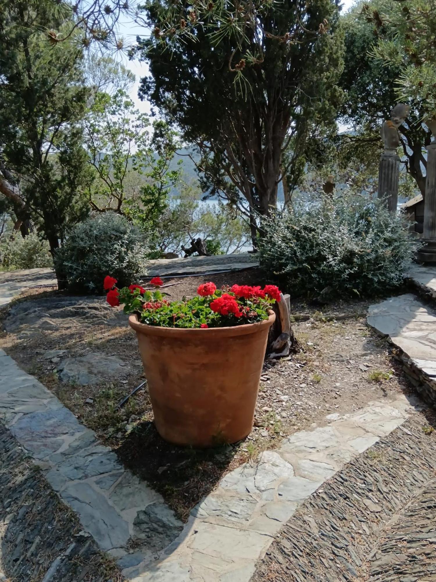 Isla Privada En Cadaques De Ensueno Con 11 Habitaciones Dobles Con Bano Privado Y Piscina Exterior photo