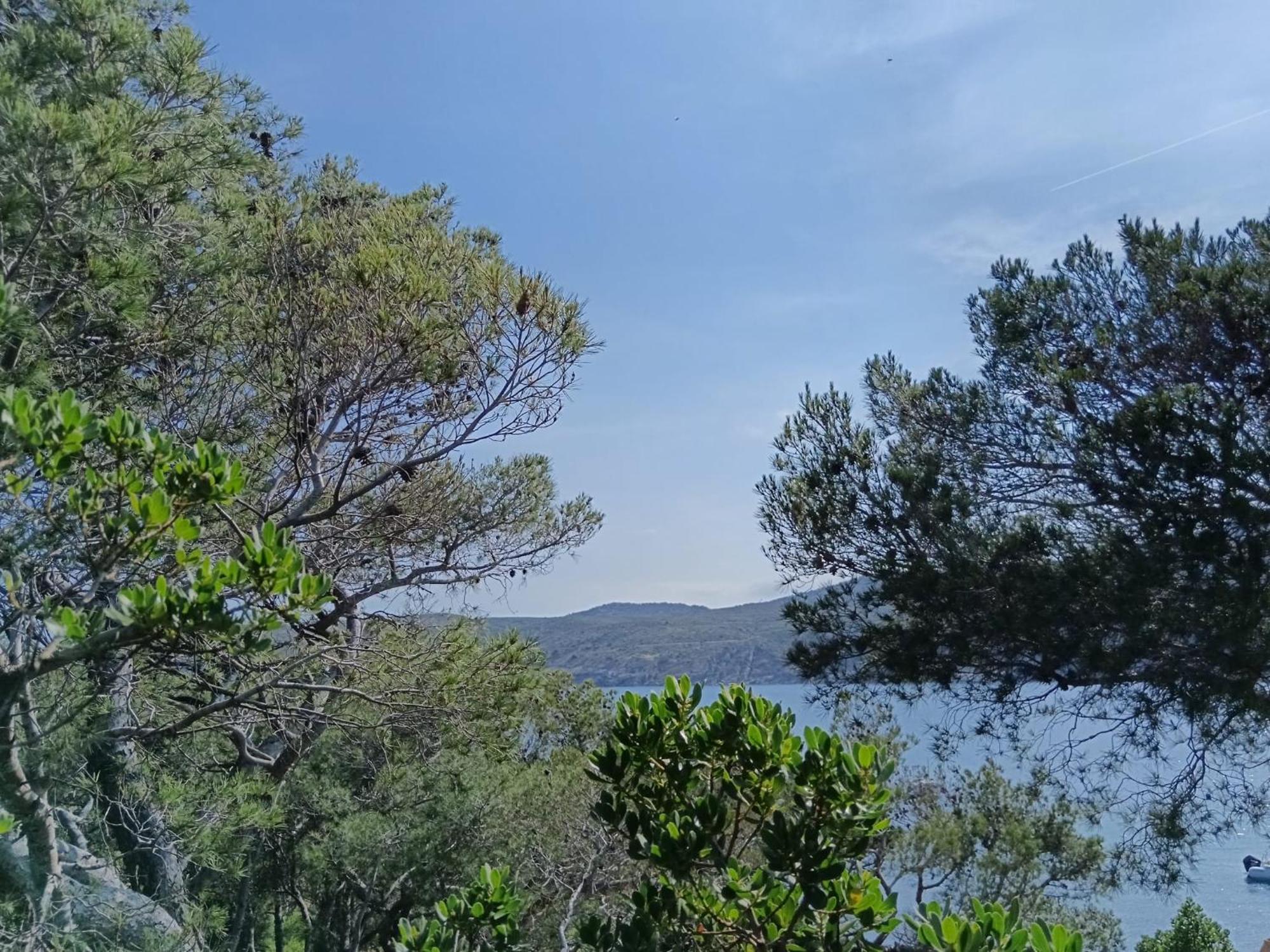 Isla Privada En Cadaques De Ensueno Con 11 Habitaciones Dobles Con Bano Privado Y Piscina Exterior photo